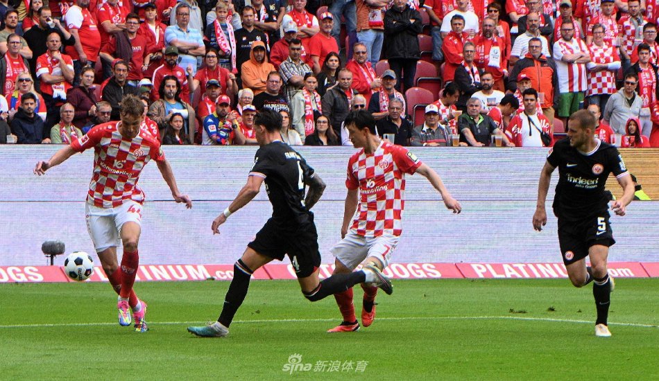 养或引进的 养或引进的